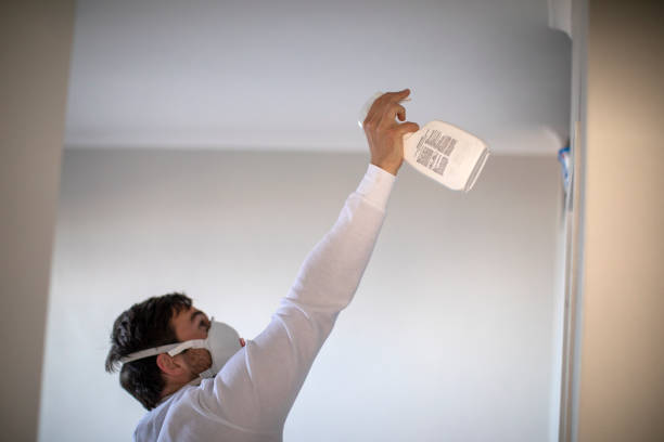 Best Mold Remediation Experts  in Normal, IL