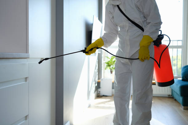 Best Toxic Mold Removal  in Normal, IL